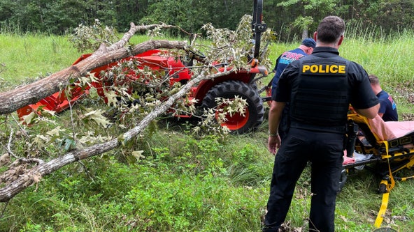 Tree falls on man riding tractor in Gainesville, police say