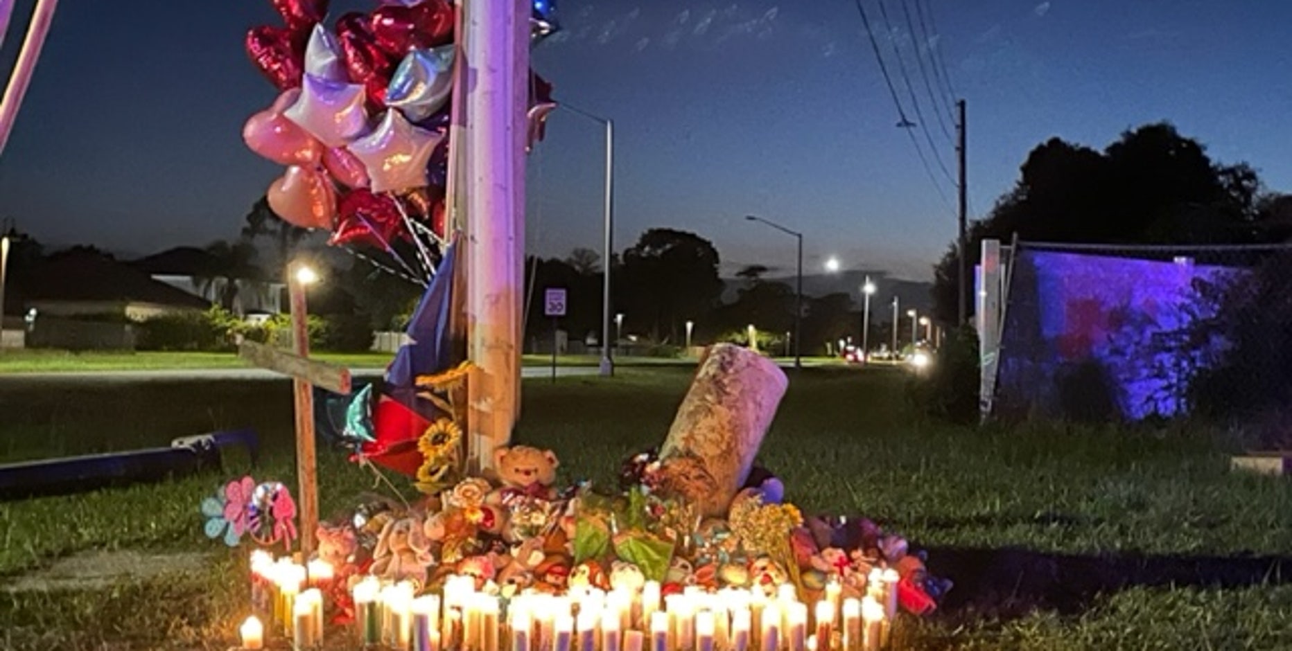 Florida mom spoke to kids on phone minutes before deadly crash: 'I'll see you in a bit'