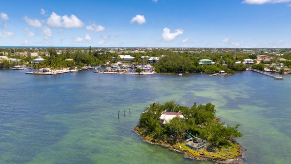 8-year-old boy bitten by shark while snorkeling at Florida beach, deputies say