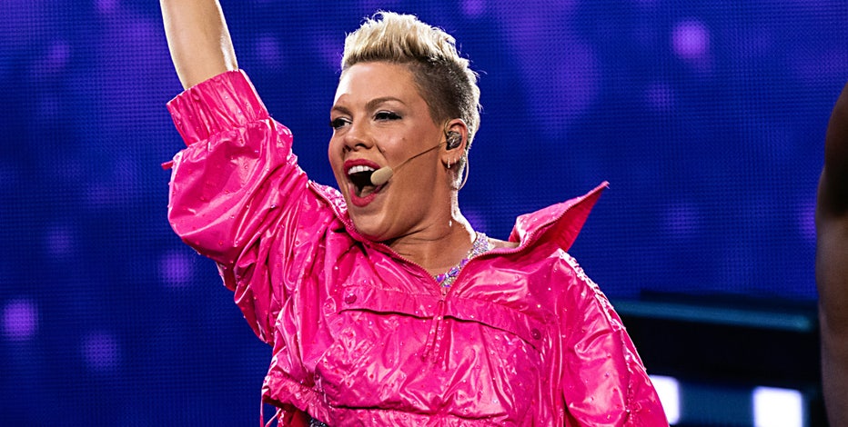 Pink giving away 2,000 banned books during Florida tour stops this week: 'It's infuriating'