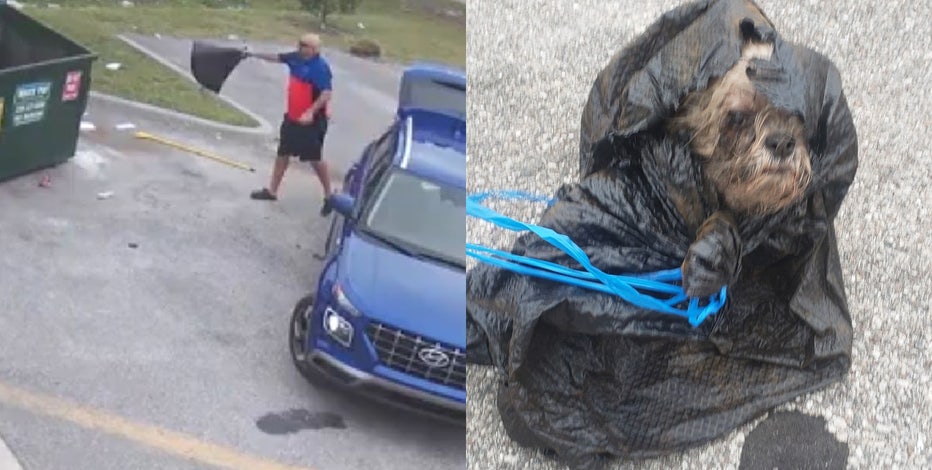 'Bone-chilling': Florida man stuffs dog into trash bag, flings it in dumpster after owners die, sheriff says