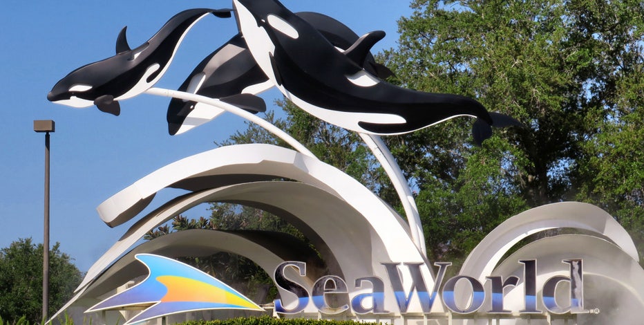 Florida woman sues SeaWorld after large palm tree branch falls on her during wedding, lawsuit says