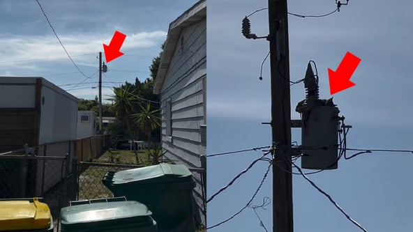 Cat rescued from Cocoa utility pole after 2 days, firefighters say