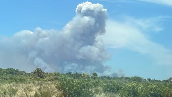 See smoke? It's likely due to a prescribed burn in Seminole County, officials say