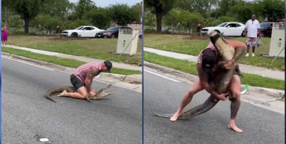 WATCH: Florida man wrangles 8-foot alligator with bare hands and he's not wearing shoes