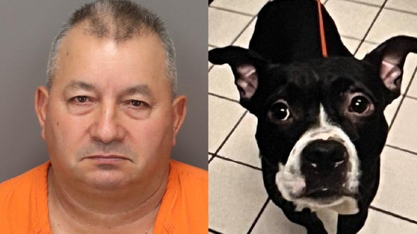 Florida man arrested after dog he adopted 4 days prior found decapitated at park: deputies
