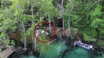 Wild video: Florida man survives 60-foot plunge into creek with minor injuries