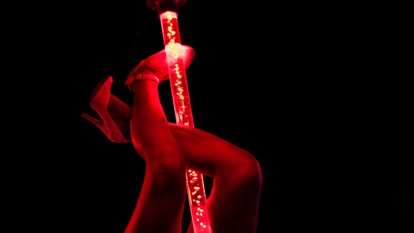 Stripper sues Florida over new age restrictions for workers in adult entertainment business