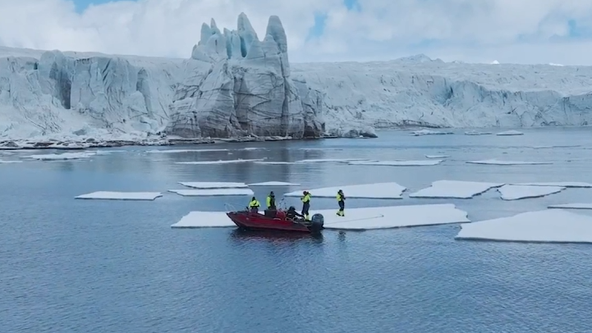 SeaWorld Orlando announces new Artic flying theater attraction coming in 2025