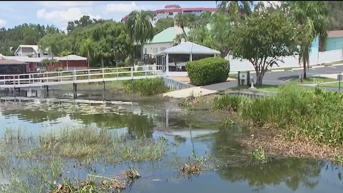 Mount Dora residents concerned about trash and debris flowing into Lake Dora