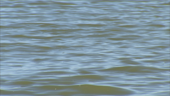 Search for 2 swimmers in Lake Ray Hubbard will resume Friday