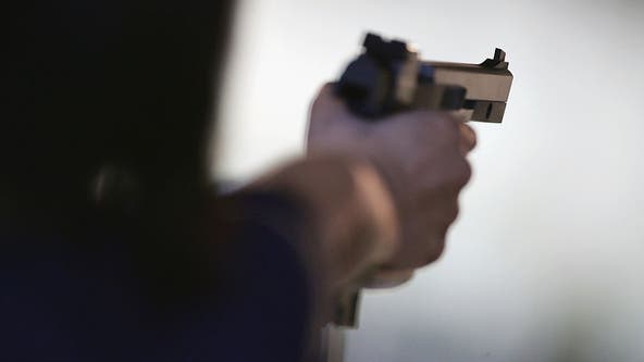 Federal appeals court rules domestic gun violence gun law unconstitutional after Arlington man's challenge