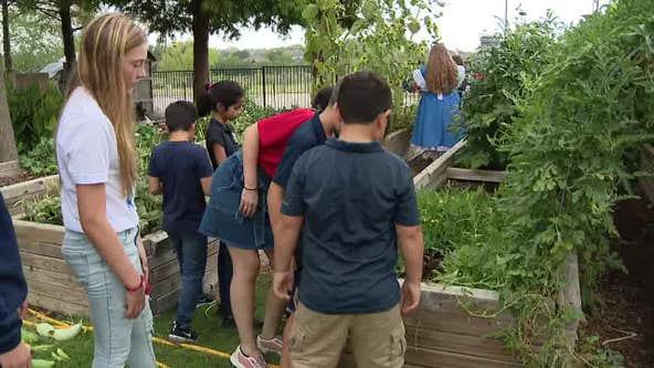Gardening program lets kids play with their food while learning about nutrition