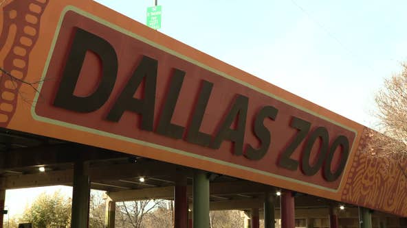 Dallas weather: Dallas Zoo closed through Wednesday due to weather