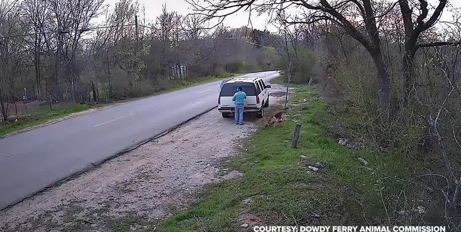 Dallas police arrest man accused of abandoning dog on side of the road