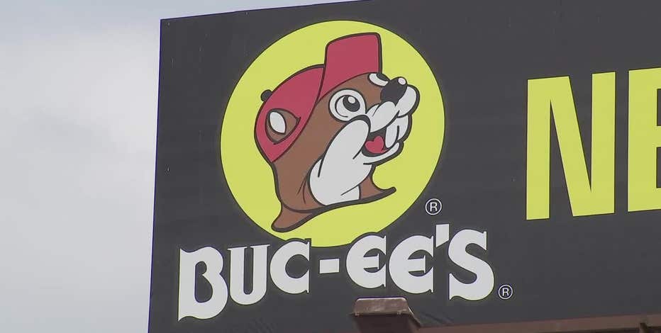 UT scientists name ancient beaver species after Buc-ee’s