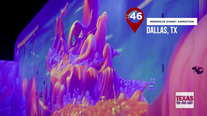 Texas To-Do List: Immersive Disney Animation at the Lighthouse Artspace