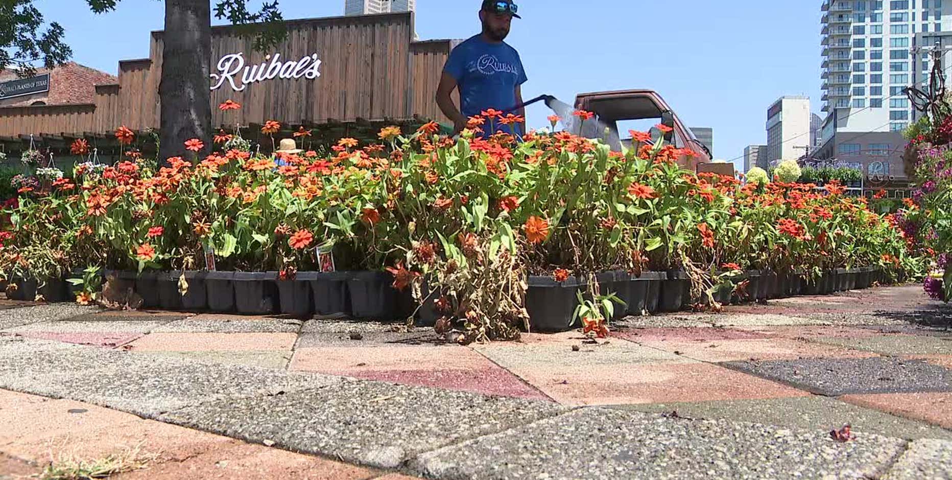North Texans unable to stay inside try to stay cool in triple-digit heat