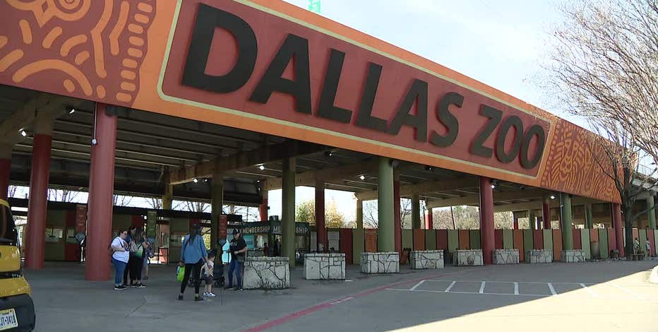 Dallas Zoo asks city council for $30M allocation from bond money for new projects