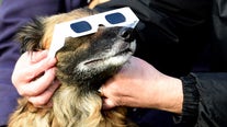 Total solar eclipse: How animals react to daylight turning dark