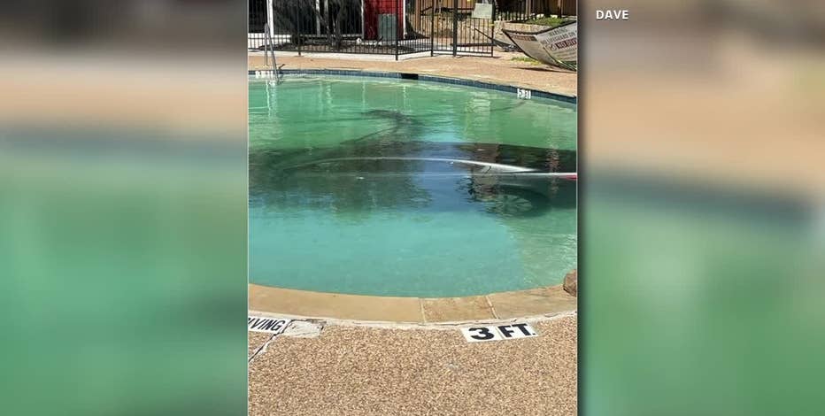 Car crashes into Fort Worth apartment complex pool