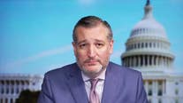 Texas Sen. Ted Cruz on Democrats raising concerns about border: 'Talk is cheap'