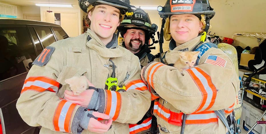 Denton County firefighters save kittens from house struck by lightning