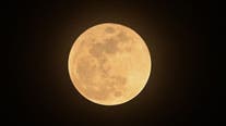 Rare lunar eclipse Harvest Moon to be visible in Texas Tuesday