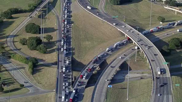 Gator, chicken parts shut down lanes of I-635, police say