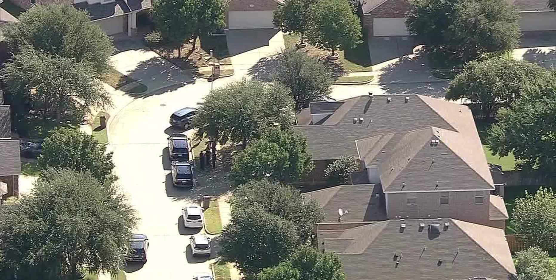 Arlington woman stabbed to death in backyard