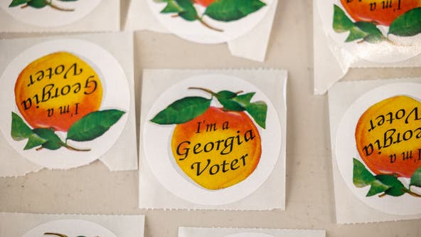 2024 Election: Early voting guide for November election