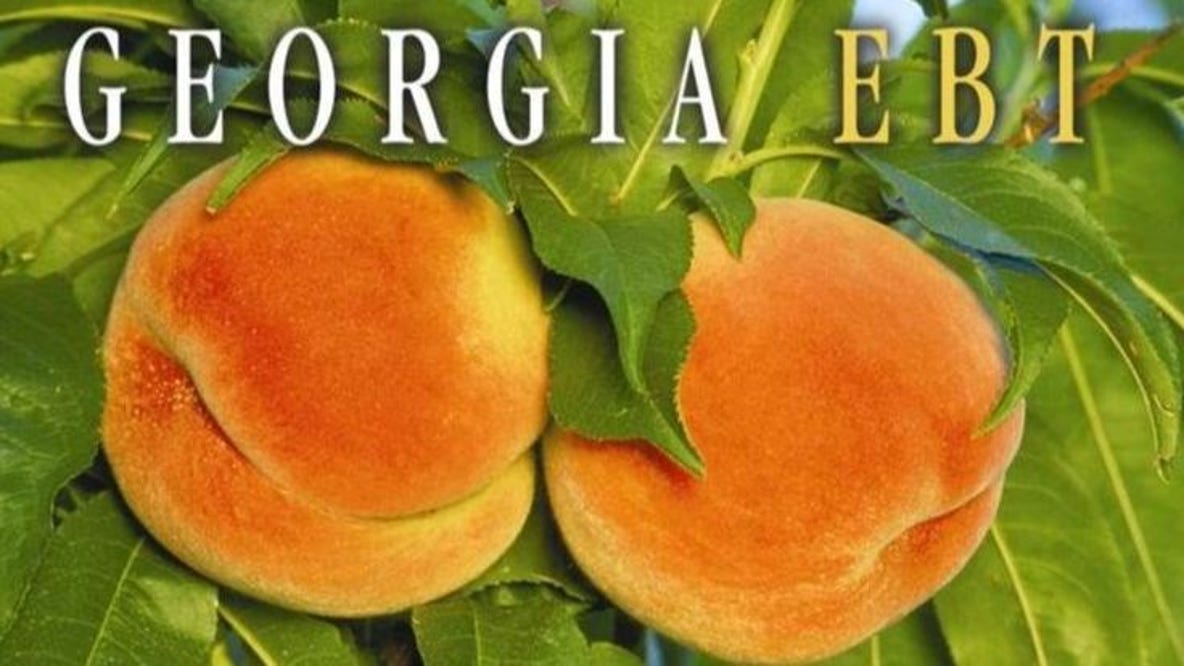 Georgia EBT users urged to secure accounts after cyberattack