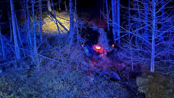 Police: Driver tried to hide car in Georgia woods to avoid traffic stop