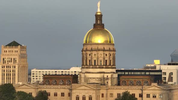 Georgia Senate updates rules after taxpayer-funded Europe trip