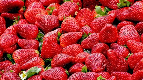 Frozen strawberries sold at Trader Joes, Aldi recalled over hepatitis A outbreak