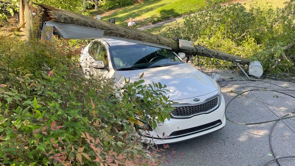 Tree, wires fall on car in Atlanta; road blocked off