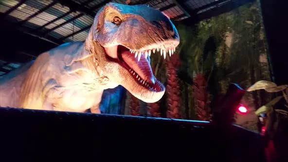 1 arrested, 3 at-large after break-in at Jurassic World Exhibition in Atlanta