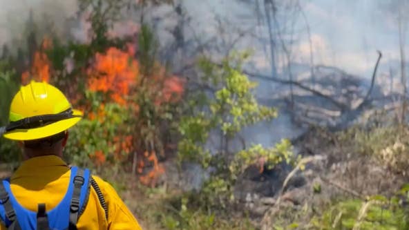 Georgia forest ranger dies after medical emergency while monitoring wildfire