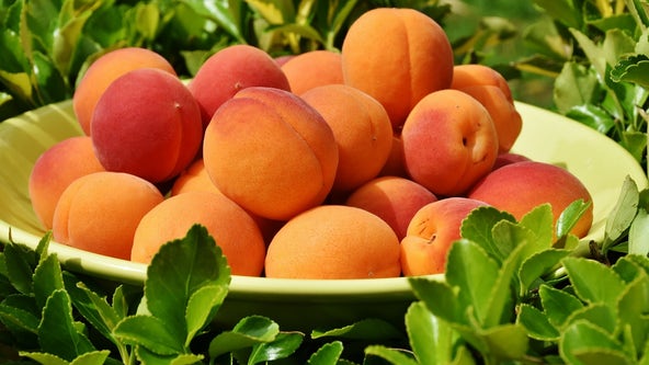 Georgia sees major peach crop shortage after warm winter