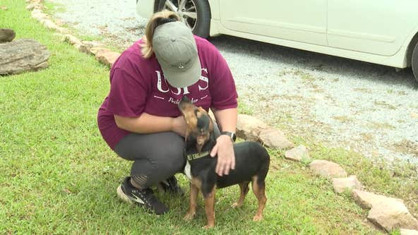 Exclusive: Viral postal worker who rescued dog from venomous snake reunited with pup and homeowner