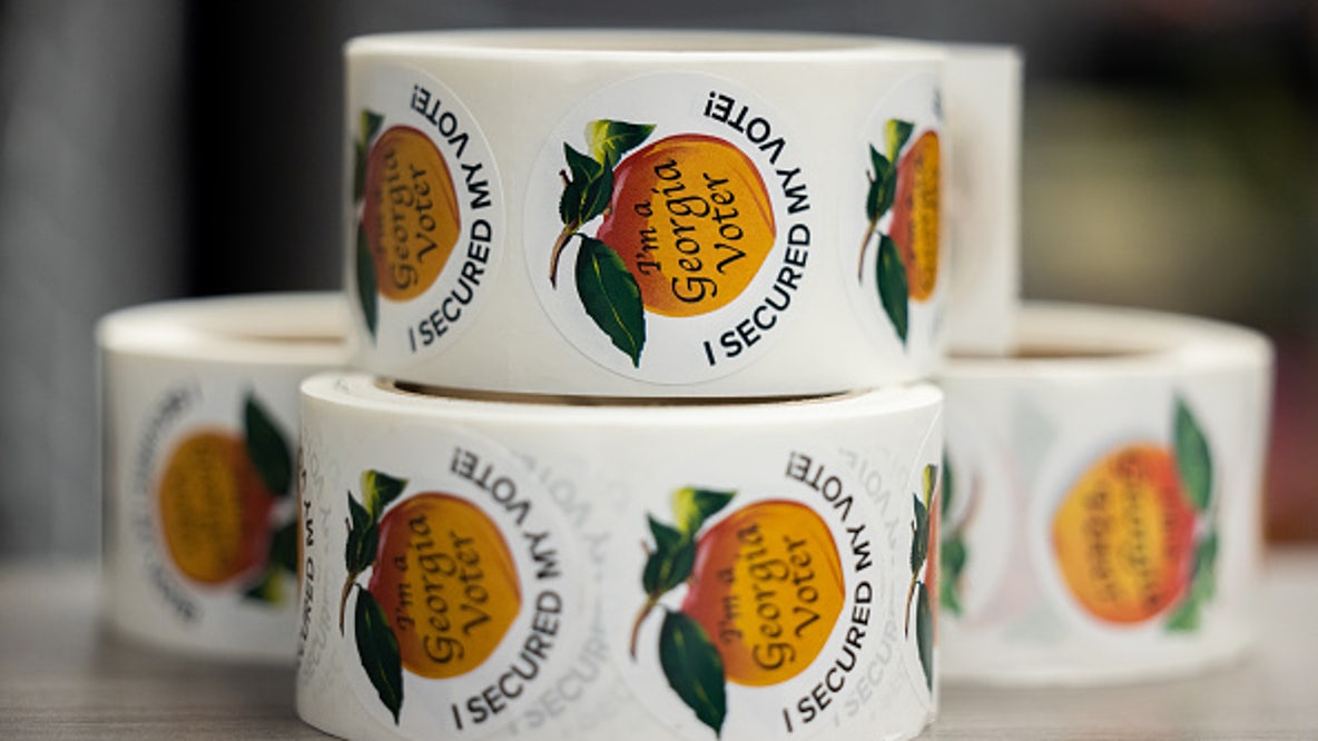 2026 Georgia election races to watch | List of candidates