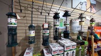 Finding the right feeders and food at Wild Birds Unlimited Decatur