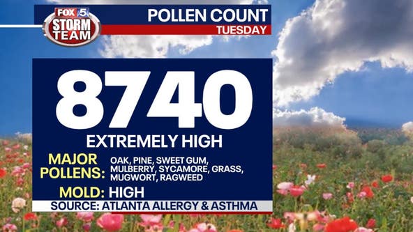 Atlanta's pollen count on Tuesday third highest ever recorded in metro area