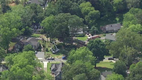 Tree trimmer electrocuted in Acworth