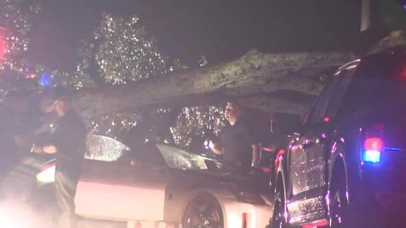 Man killed after car crushed by tree limb in Cherokee County