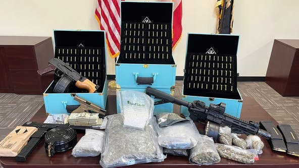 Hall County deputies seize cache of drugs, guns, and cash; 1 arrested