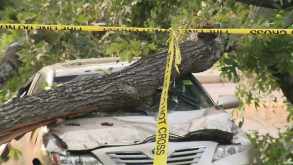 Tree topples on passing car injures 2, disrupts power in Stone Mountain