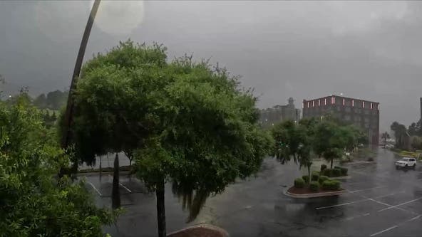 Tracking Debby: Slow-moving storm could put Savannah underwater, mayor says