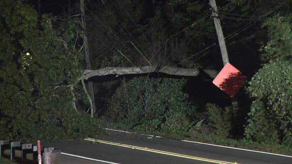 Fallen tree blocks Briarcliff Road, knocks out power