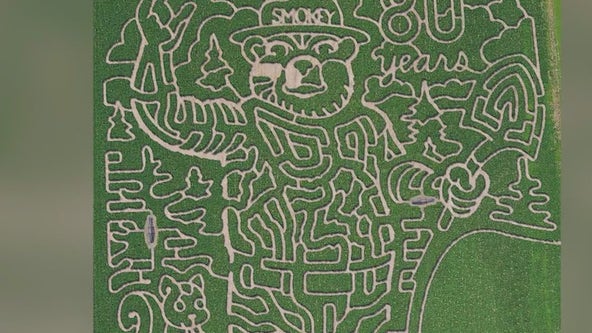 Georgia corn maze ranked as one of top 10 in nation